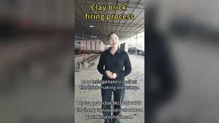 Forno a tunnel per il processo di cottura dei mattoni in argilla